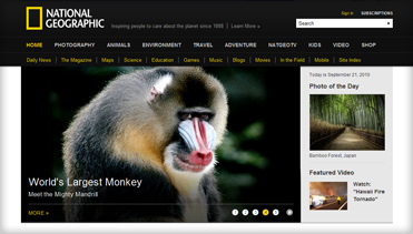 手机号轰在线轰炸免费下载